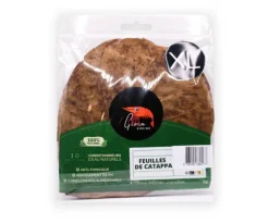 Feuilles de catappa pour crevettes Gioiashrimp - x 10 Taille XL