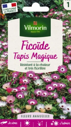 Ficoïde Tapis Magique Vilmorin - graines à semer