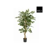 Ficus Benjamina artificiel vert en pot plastique H 150 x Ø 85 cm