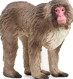 Figurine Macaque japonais Schleich