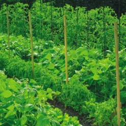 Filet à ramer coloris vert 2x5 m