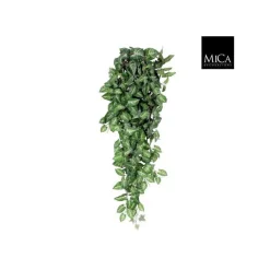 Fittonia artificiel vert en chute 80x30x15 cm