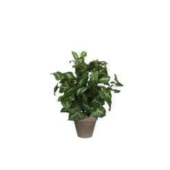 Fittonia vert plante artificielle en pot gris H 35 x Ø 25 cm