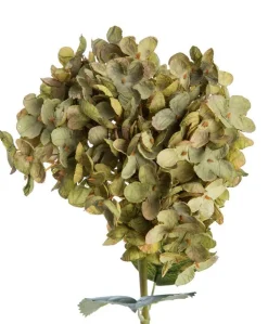 Fleur artificielle en papier hortensia coloris vert - H 65 cm