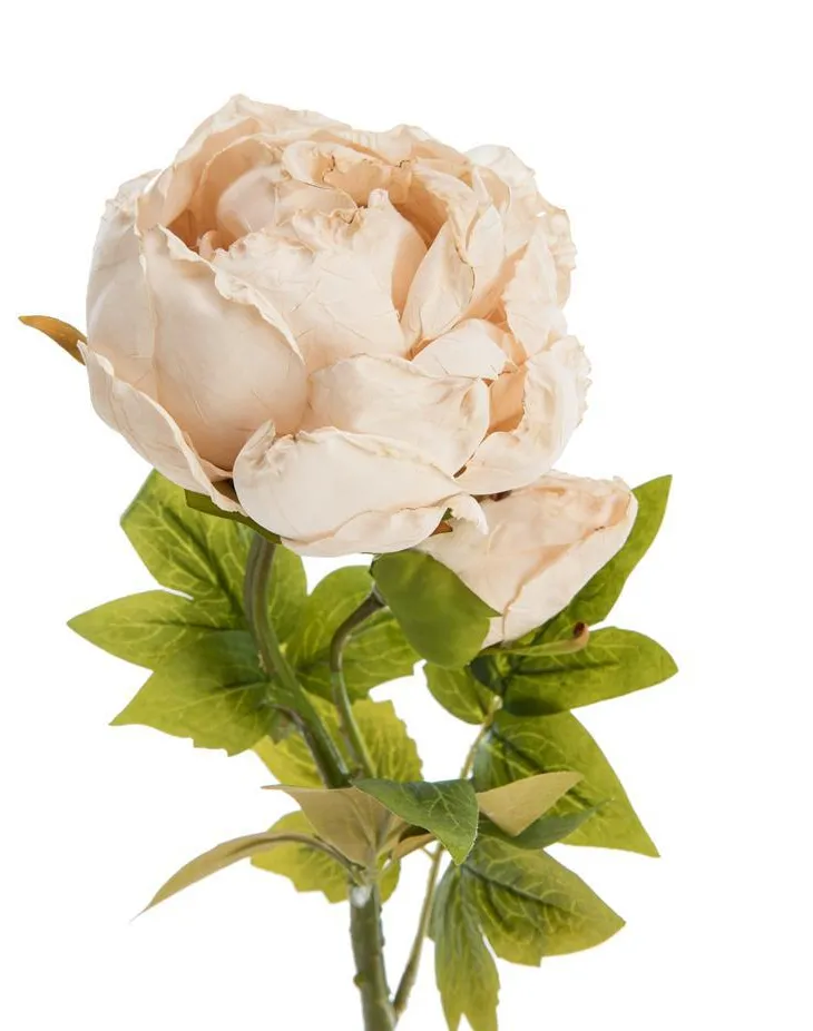 Fleur artificielle en papier tige de pivoine coloris beige - H 62 cm