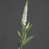 Fleur artificielle véronique branche crème