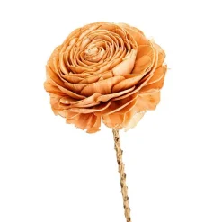 Fleur en bois de Sola et coco forme Rose - Ø 8 x H 52 cm