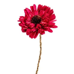 Fleur en bois de Sola et coco forme Œillet - Ø 8 x H 53 cm