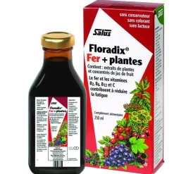 Floradix fer + plantes formule liquide 250 ml