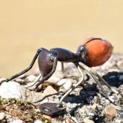 Fourmi rouge métal petit modèle