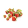 Fraises bio d'Espagne - Barquette de 250 g