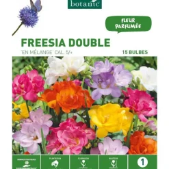 Freesia Double en mélange botanic® - 15 bulbes