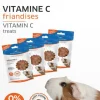 Friandises vitamine c pour cobaye goût pomme Francodex - 4 x 50 g
