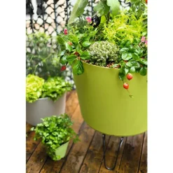 Fumier lombricomposté botanic® - 15 kg