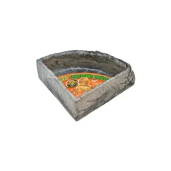 Gamelle d'angle pour reptile moyen modèle