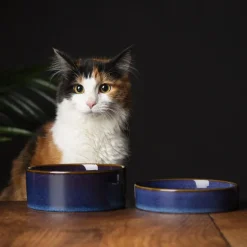 Gamelle pour chat en grès coloris bleu nuit Reactive Glaze Scruffs - 13 x 13 x 3 cm