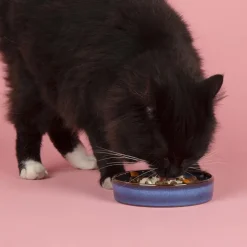 Gamelle pour chat en grès coloris bleu nuit Reactive Glaze Scruffs - 13 x 13 x 3 cm