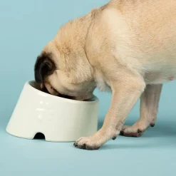 Gamelle pour chien à la face aplatie coloris beige en grès Scruffs – 18 x 15 x 10,5 cm