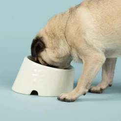 Gamelle pour chien à la face aplatie coloris beige en grès Scruffs – 18 x 15 x 10,5 cm