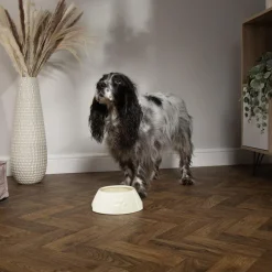 Gamelle pour chien aux longues oreilles coloris beige en grès Scruffs – 21 x 21 x 8,5 cm