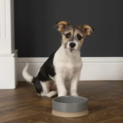 Gamelle pour chien coloris gris en grès Scruffs Scandi – 20 x 20 x 7 cm