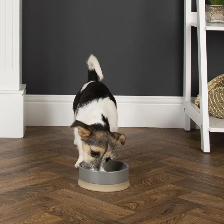 Gamelle pour chien coloris gris en grès Scruffs Scandi – 20 x 20 x 7 cm