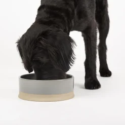 Gamelle pour chien coloris gris en grès Scruffs Scandi – 20 x 20 x 7 cm