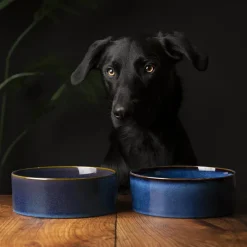 Gamelle pour chien en grès coloris bleu nuit Reactive Glaze Scruffs - 19 x 19 x 8 cm