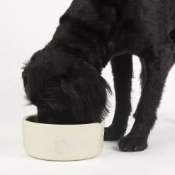 Gamelle repas pour chien coloris beige clair en grès Scruffs – 19 x 19 x 8,5 cm