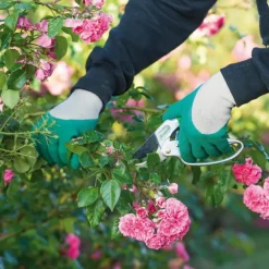 Gants de jardinage pour rosiers Vert clair