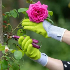 Gants de jardinage pour rosiers Vert anis