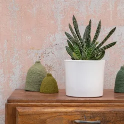 Gasteria panachage par 18 pot émaillé Ø20x30 cm