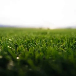 Gazon naturel résistant à la sécheresse en rouleaux Les Gazons de la Hardt - prix au m² pour une surface achetée totale de 10 à 50 m²