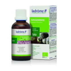 Gingembre extrait de plantes fraîches bio Ladrôme - 50 ml