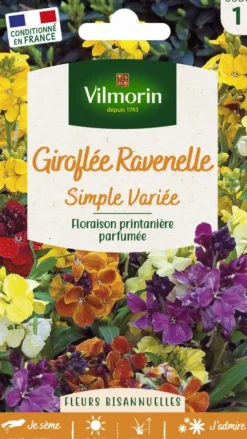 Giroflée Ravenelle Simple Variée Vilmorin - graines à semer