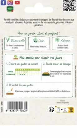 Giroflée Ravenelle Simple Variée Vilmorin - graines à semer