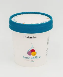 Glace pistache Terre Adélice - Pot de 120 ml