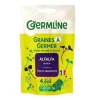 Graines à germer bio alfalfa - 150 g