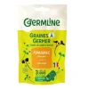 Graines à germer bio fenugrec - 150 g