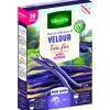 Graines à haricot nain velour Vilmorin - graines à semer