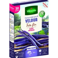 Graines à haricot nain velour Vilmorin - graines à semer