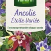 Graines d’Ancolie Étoile variée Vilmorin - graines à semer