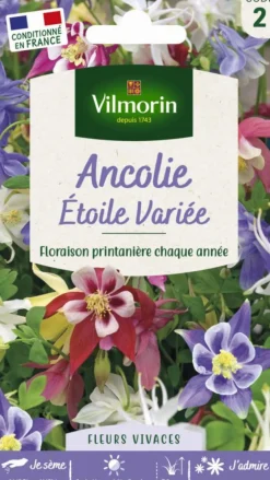 Graines d’Ancolie Étoile variée Vilmorin - graines à semer