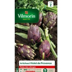 Graines d'Artichaut violet de Provence Vilmorin - graines à semer