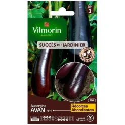 Graines d'aubergine avan HF1 Vilmorin - graines à semer