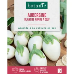 Graines d'aubergine blanche ronde à œuf botanic® - graines à semer
