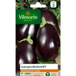 Graines d'aubergine bonica HF1 Vilmorin - graines à semer