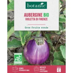 Graines d'Aubergine violetta di Firenze bio botanic® - graines à semer