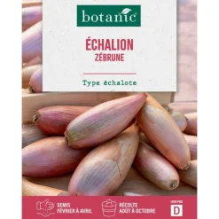 Graines d'échalion zebrune botanic® - graines à semer