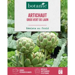 Graines de artichaut gros vert de Laon botanic® - graines à semer